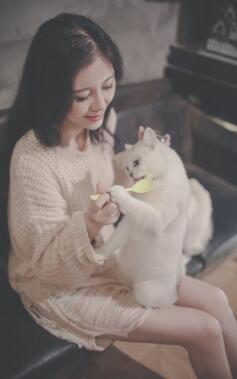 自體脂肪豐太陽穴額頭照片