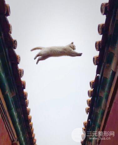 蘇州紫馨孫影塌鼻子假體隆鼻案例對(duì)比照心情小札