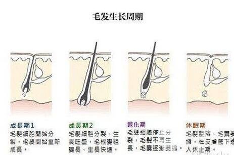天津冰點(diǎn)e光脫毛價(jià)格大概多少？比北上廣低嗎？