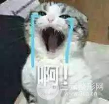 明星憑什么胖著玩玩說瘦就瘦？靠吃減肥藥嗎？