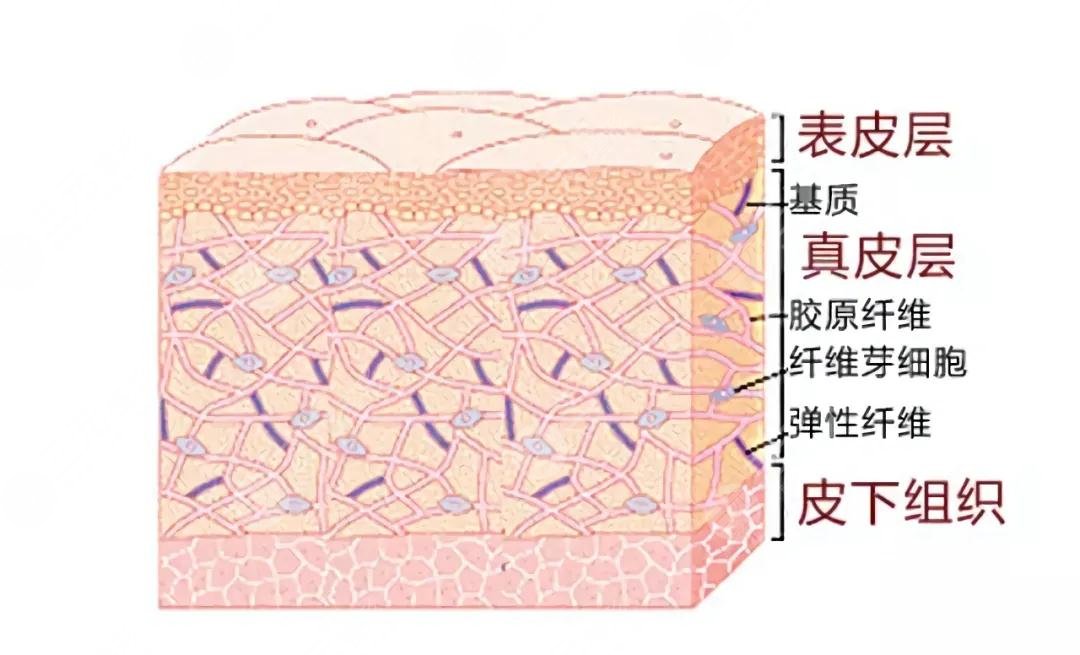 提升抗皺的副作用和危害