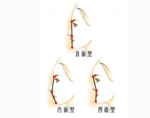 看臉型找鼻模板！小翹鼻還是微駝峰？2分鐘了解自己適合啥鼻型~