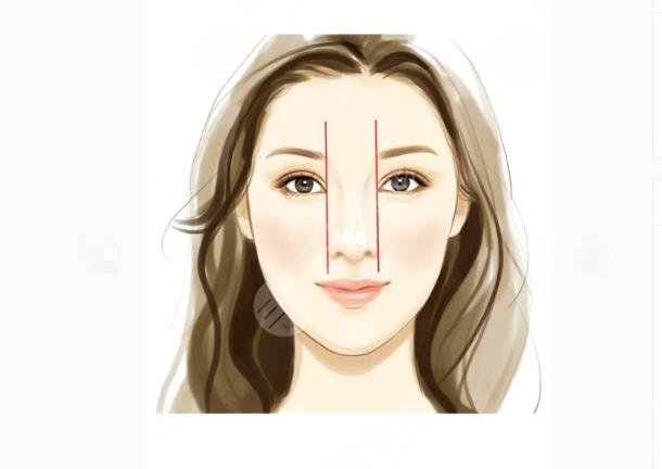 <正面五官比例>