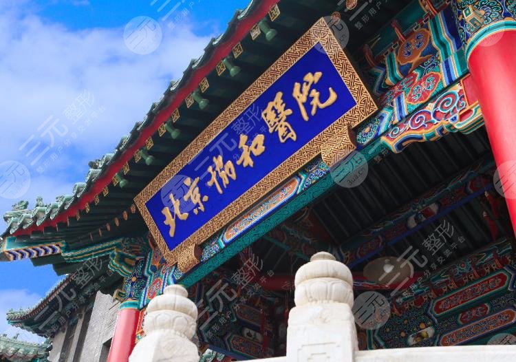 國內(nèi)脂肪隆胸專家排行