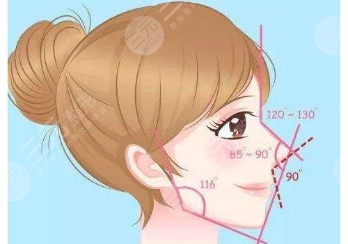 區(qū)別|水滴鼻和小翹鼻哪個好看?看臉型選鼻型~