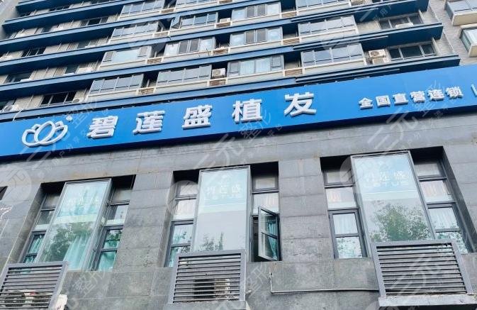 碧蓮盛種植毛發(fā)費用