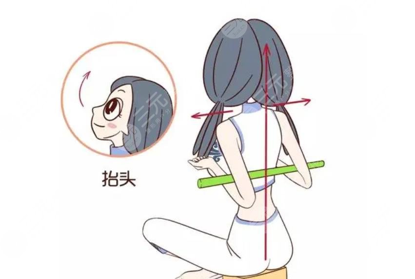 背部訓(xùn)練基本動(dòng)作