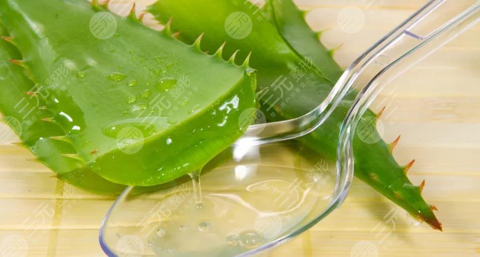 蘆薈的功與作用對(duì)皮膚的作用有哪些?