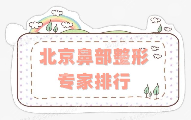 北京鼻部整形專家排行