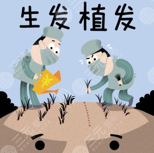 植發(fā)項(xiàng)目