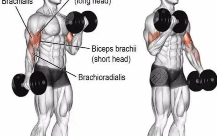 側(cè)向彎曲啞鈴運(yùn)動(dòng)