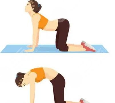 背部伸展運(yùn)動(dòng)