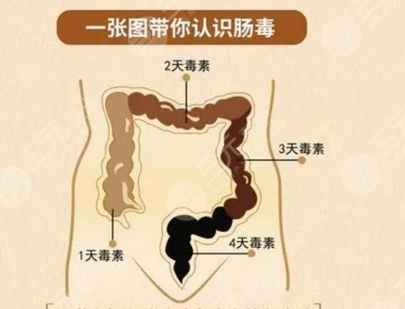 清腸道排宿便有的方法有哪些？5個小妙招現(xiàn)學現(xiàn)用！果是網(wǎng)友們稱贊的~