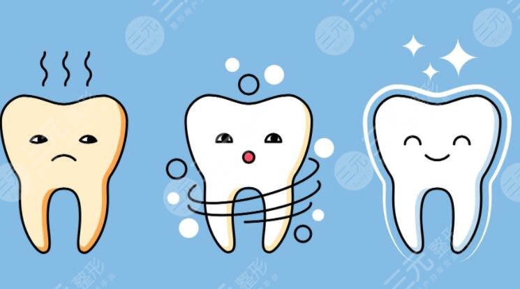 美白牙貼的成分