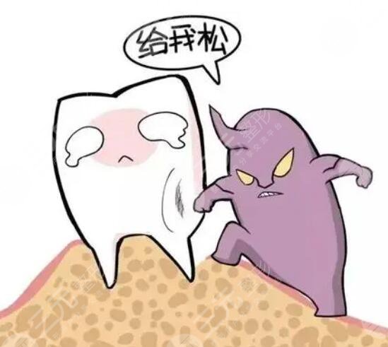 如何緩解牙齒松動問題？牙齒松動的原因及根治方法很重要！告訴你2個方法！