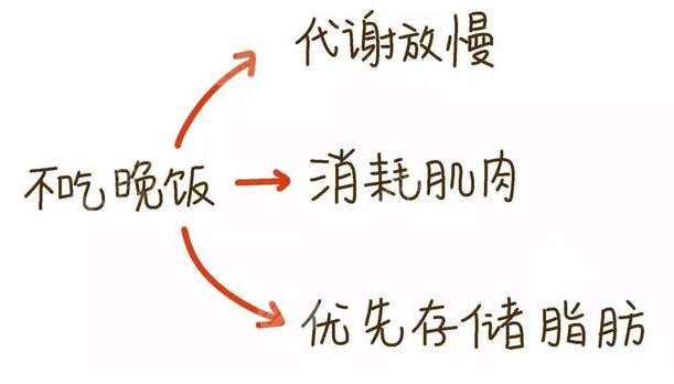 晚餐要適量，健康更重要