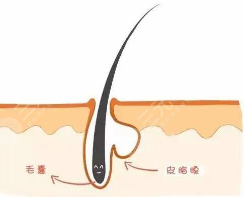 適當(dāng)運(yùn)動