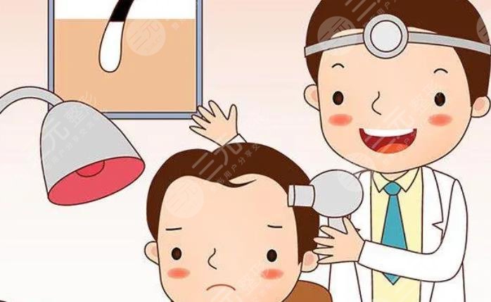 種一根頭發(fā)需要多少錢