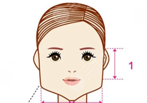 面部內(nèi)輪廓和外輪廓區(qū)分
