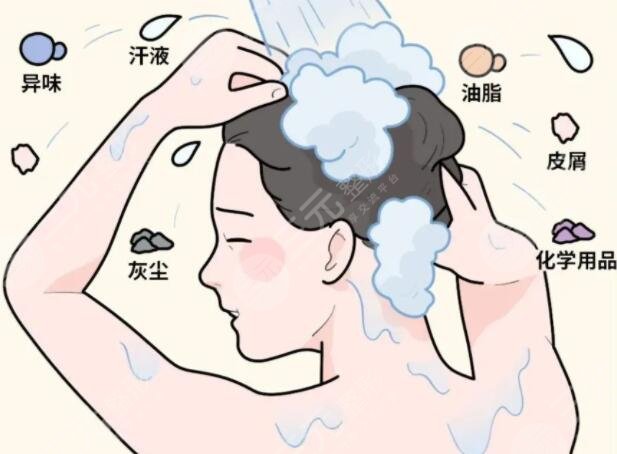 多久洗一次頭健康？科學(xué)洗頭間隔時(shí)間一般是2-3天左右