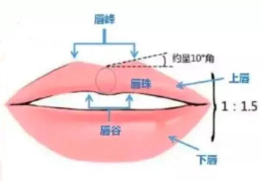 唇部受到傷之后可以整形嗎？整形手術(shù)科普+收費價格參考！