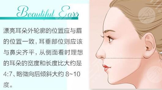耳輪微整形大概多少錢？耳部整形項(xiàng)目?jī)r(jià)格大全查詢！