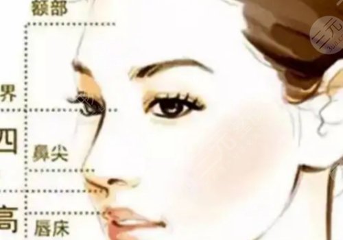 微調和整容的區(qū)別