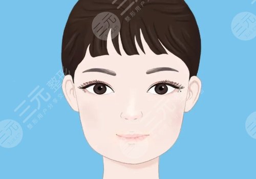 臉部輪廓固定能維持多久？