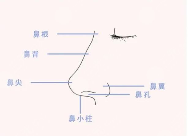 媽生鼻手術(shù)后需要注意什么？