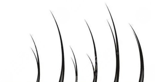 陰毛修整術(shù)