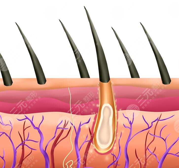 上海九院植發(fā)科簡介