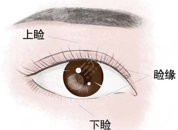 眼周良惡性腫物切除