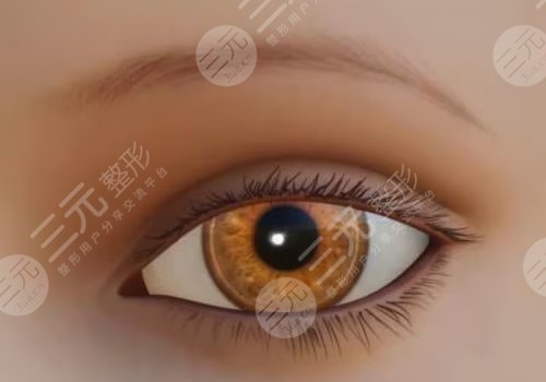 楊鍇醫(yī)生個人簡介，雙眼皮怎么樣