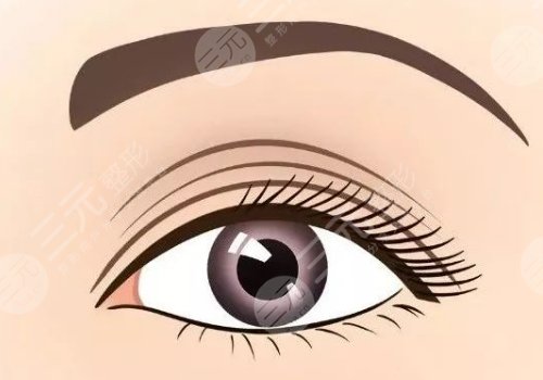 何林個人資料和圖片簡介