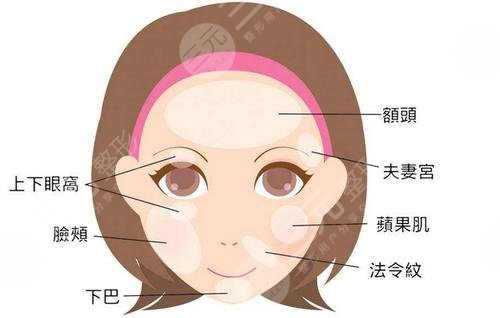 中山三院趙卉個(gè)人簡(jiǎn)介資料