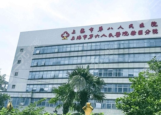 上海八院