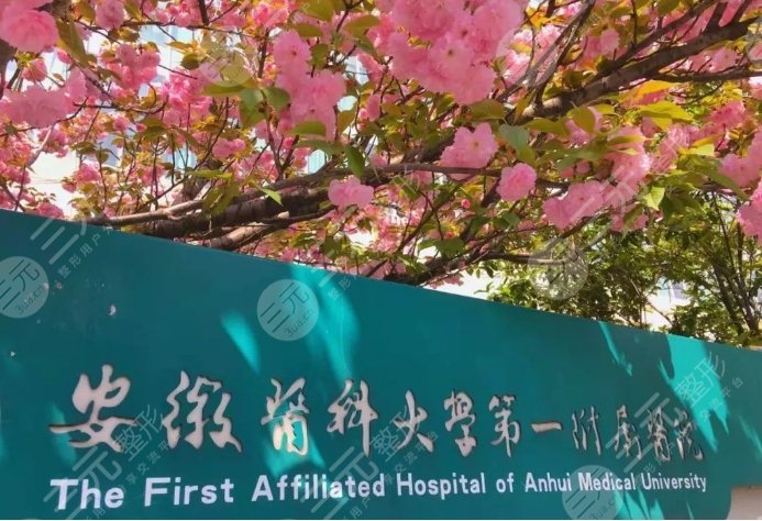 安徽醫(yī)科大學第一附屬醫(yī)院