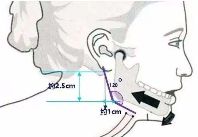下頜角動(dòng)漫