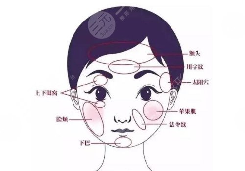 馬菁晶個人簡介資料