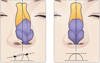 廣州蔣思軍個人簡介