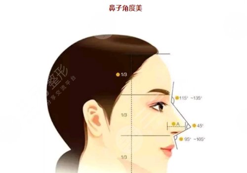 范榮杰做鼻子好嗎