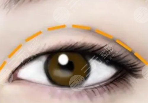 武偉亮個人資料