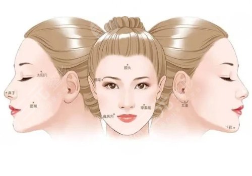 自體脂肪填充全臉大概多少錢