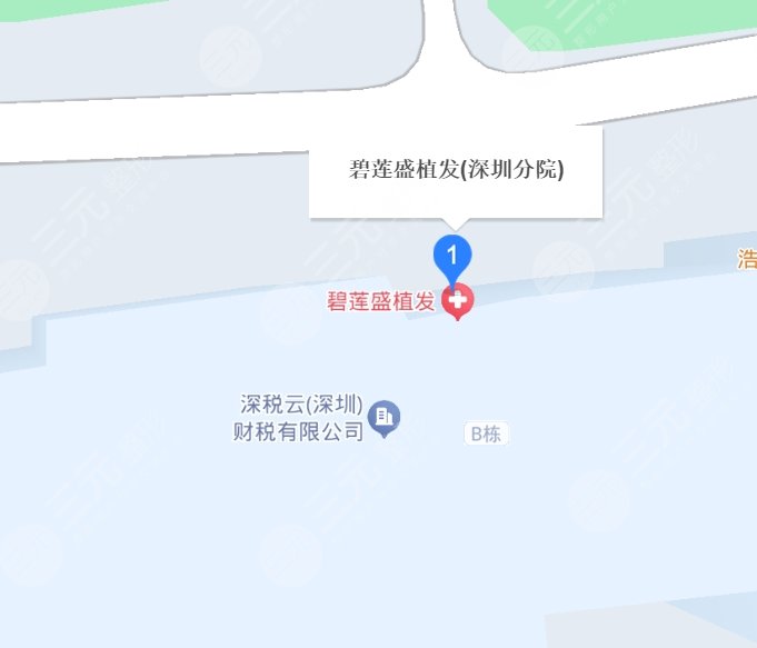 重慶碧蓮盛植發(fā)