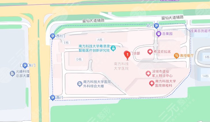 南方科技大學醫(yī)院