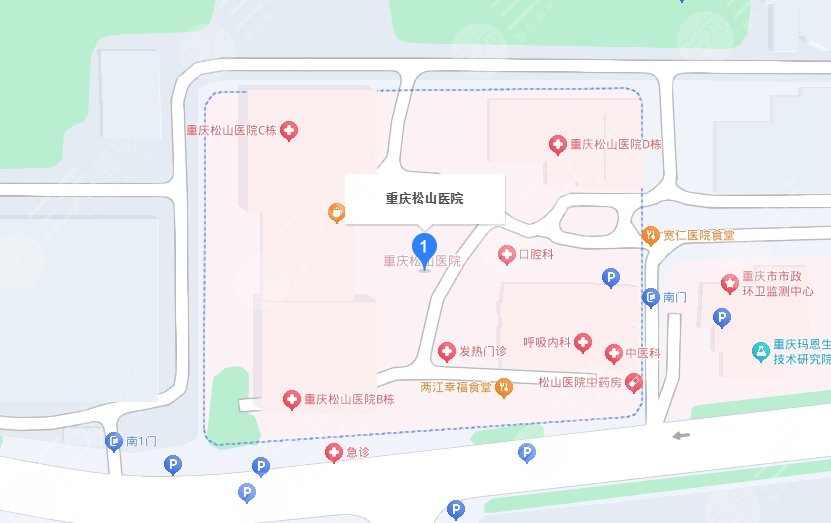 重慶松山醫(yī)院