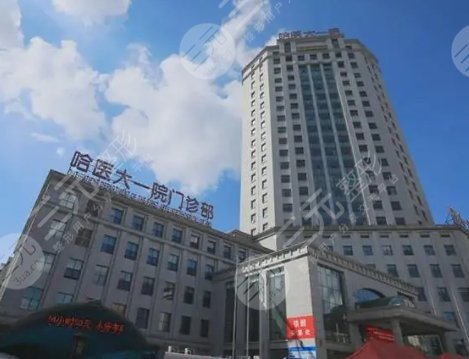 哈醫(yī)大一院