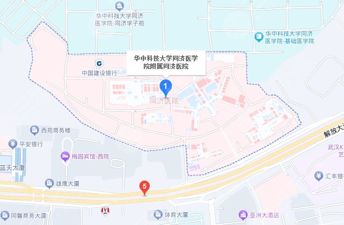 武漢同濟(jì)醫(yī)院