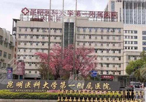 昆明做吸脂手術(shù)的3甲醫(yī)院