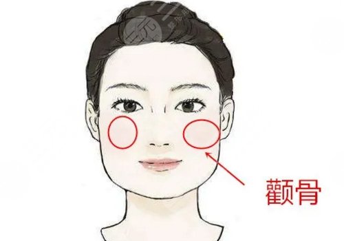 崔榮達(dá)和樸興植那個好